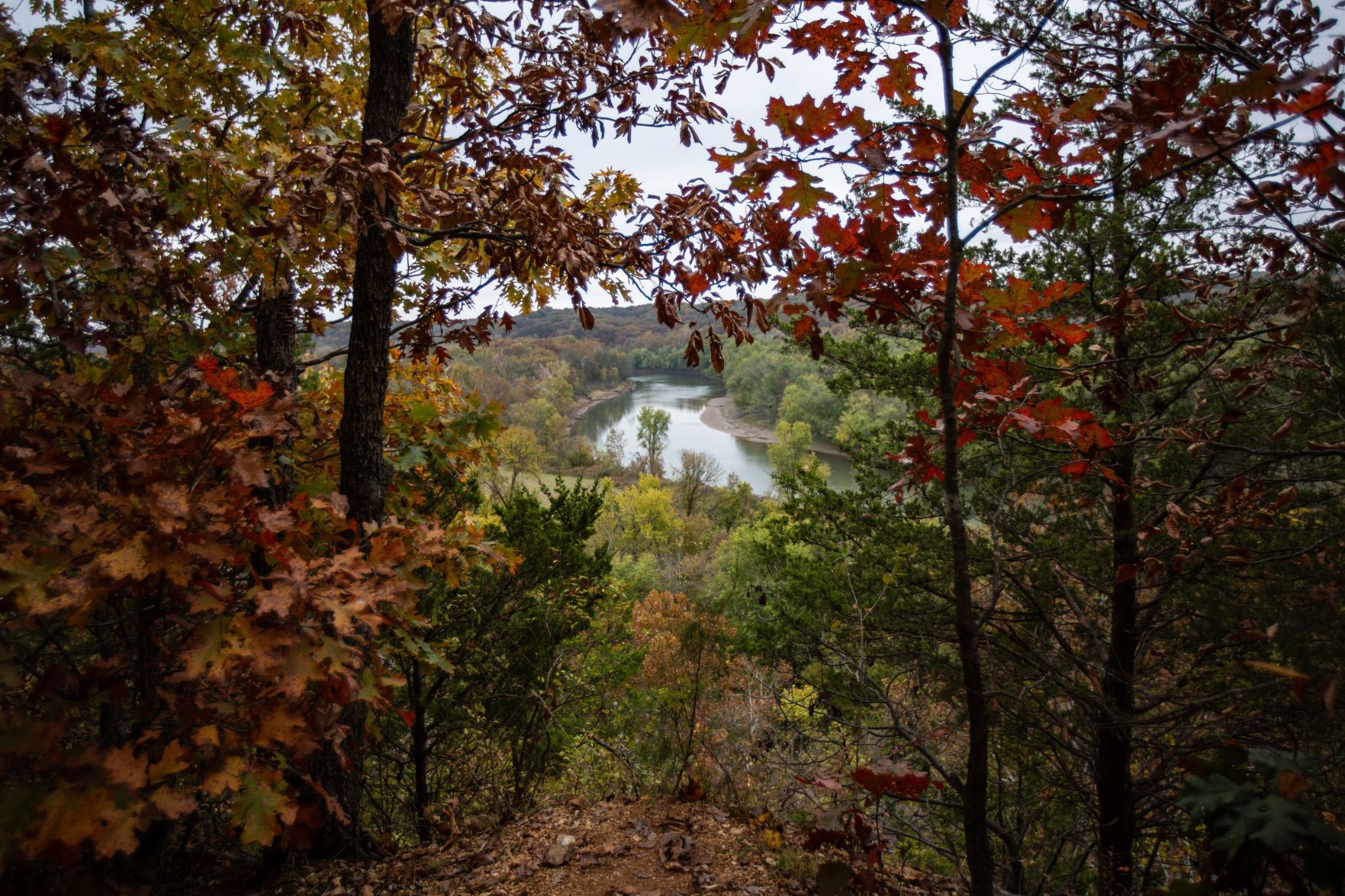 Fall Colors